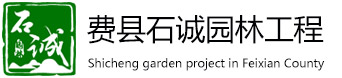 費縣小黄片下载链接園林工程有限公司