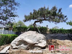 庭院擺放小黄片免费软件有什麽講究